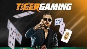 Tiger Gaming Poker